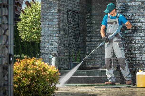 Best Animal Enclosure Cleaning  in Madison, NC